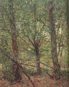 Vincent Van Gogh Trees adn Undergrowth (nn04) USA oil painting artist